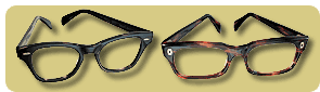 The perfect pair of eyeglass frames.